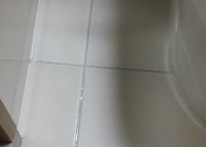 washroom tile silver